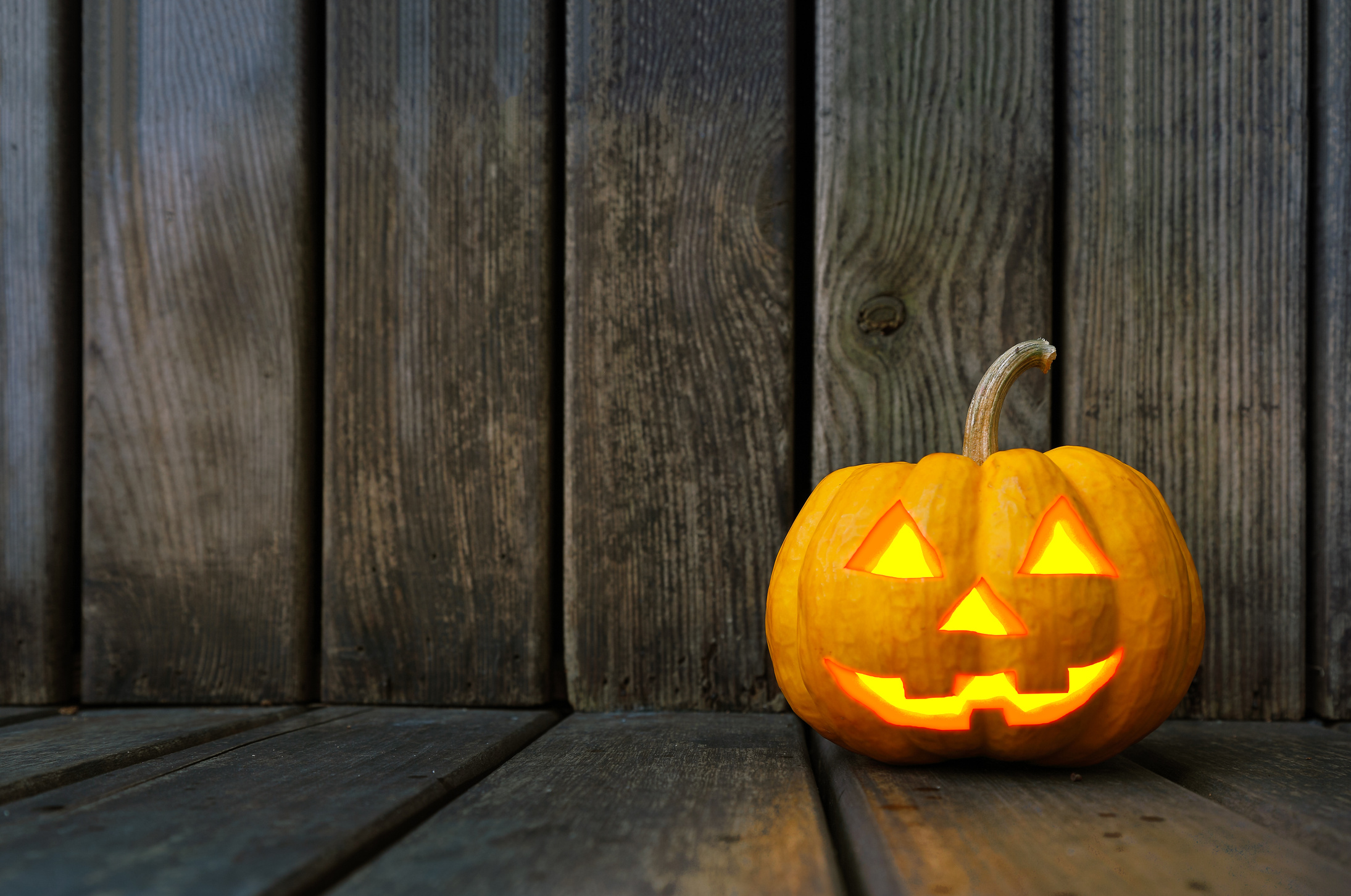 Halloween Pumpkin on Dark Wood Plank Background